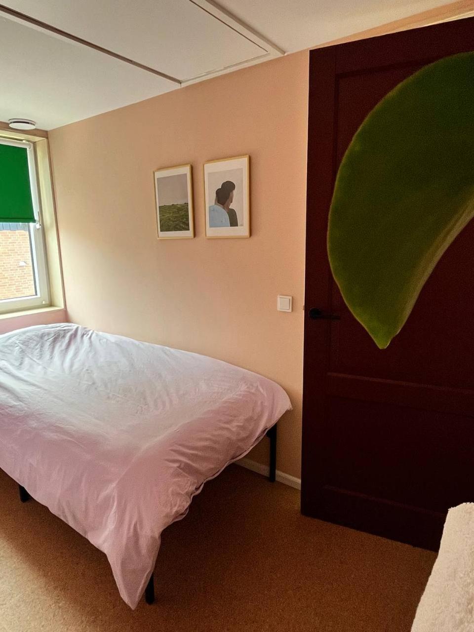 Red Cat In Bed Bed & Breakfast Eenrum Bagian luar foto