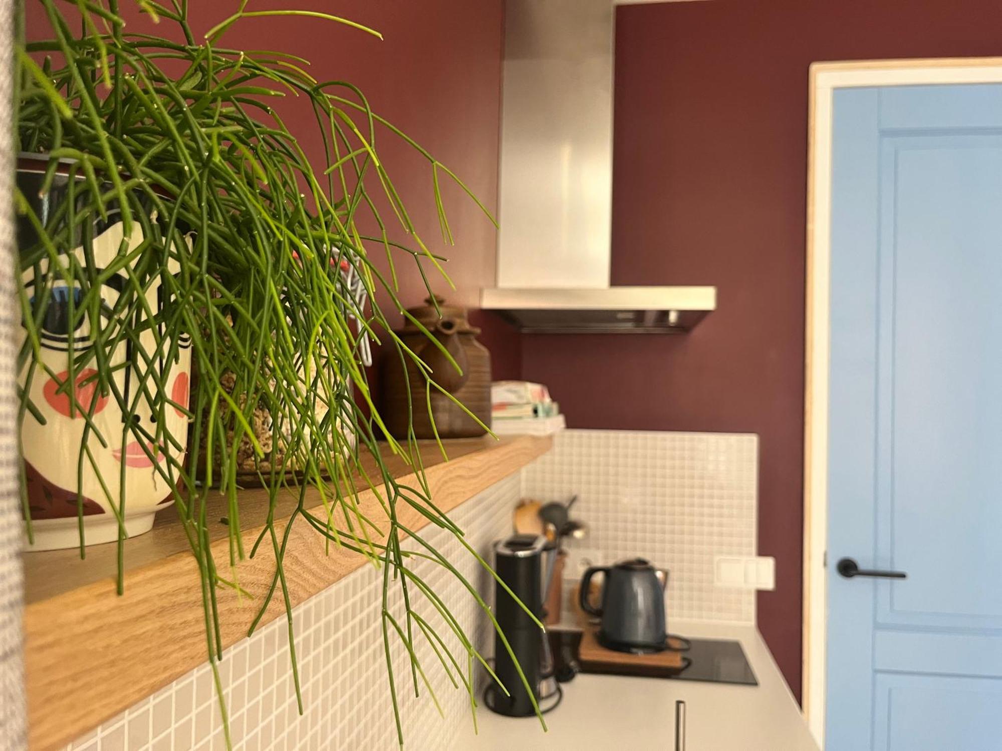 Red Cat In Bed Bed & Breakfast Eenrum Bagian luar foto